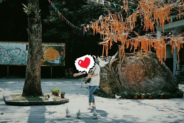 咖啡厅找不同