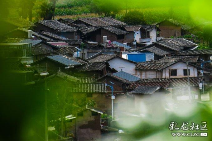 球球大作战下载最新版