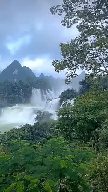移动的靶心5